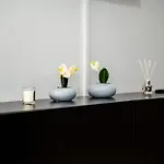 A&v